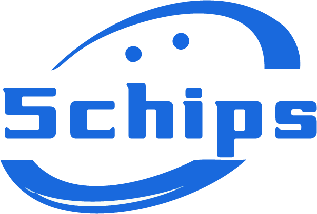 5chips_logo